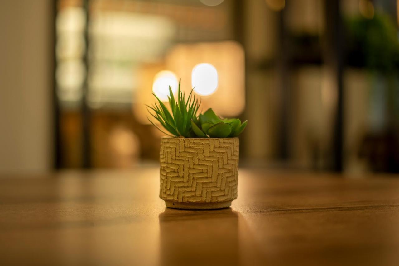 Metis Urbane Living Spaces Athen Eksteriør bilde